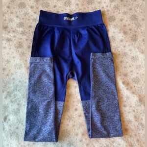 Gymshark Colorblock Pant